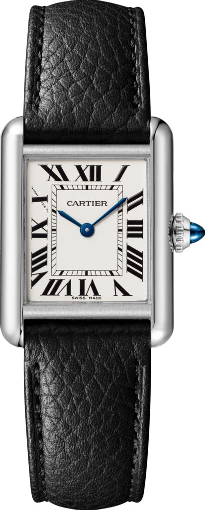 cartier wsta0042|cartier crwsta0042 case.